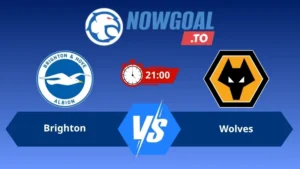 Soi kèo Brighton vs Wolves 21h00 ngày 09/05/2026 – Ngoại hạng Anh